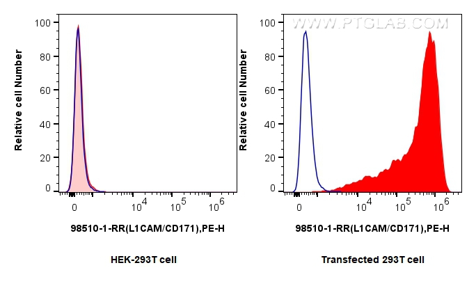 FC experiment of Transfected HEK-293T using 98510-1-RR (same clone as 98510-1-PBS) FC experiment of Transfected HEK-293T using 98510-1-RR (same clone as 98510-1-PBS)