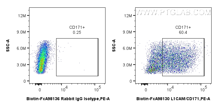 FC experiment of SK-N-SH using Biotin-FcA98130 FC experiment of SK-N-SH using Biotin-FcA98130