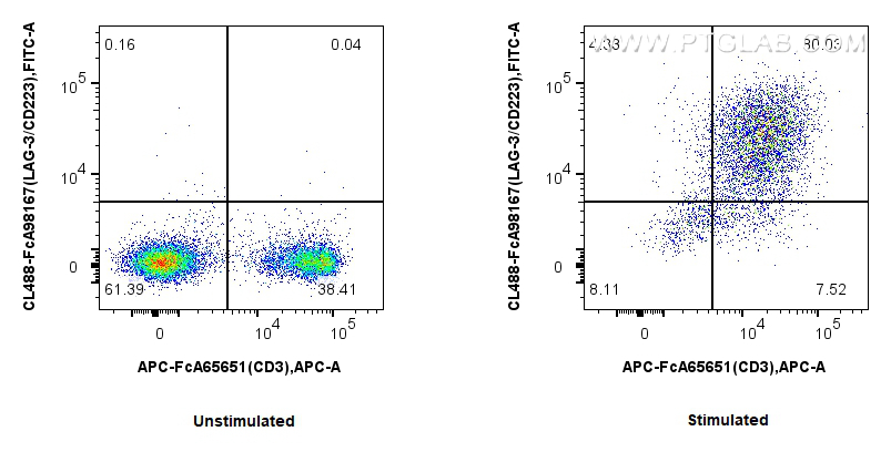 FC experiment of mouse splenocytes using CL488-FcA98167