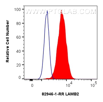 FC experiment of HepG2 using 82946-1-RR