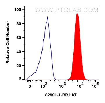FC experiment of Jurkat using 82901-1-RR