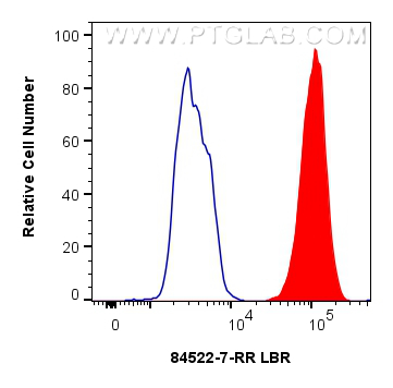 1x10^6 HeLa cells were intracellularly stained with 0.25 ug LBR Recombinant antibody (84522-7-RR, Clone:241864G10) and CoraLite®488-Conjugated Goat Anti-Rabbit IgG(H+L) (<a class='green' href='/productredirect?CatalogNo=SA00013-2' target='_blank'>SA00013-2</a>)(red), or 0.25 ug Rabbit IgG Isotype Control RecAb (<a class='green' href='/productredirect?CatalogNo=98136-1-RR' target='_blank'>98136-1-RR</a>, Clone: 240953C9) (blue). Cells were fixed and permeabilized with Transcription Factor Staining Buffer Kit (<a class='green' href='/productredirect?CatalogNo=PF00011' target='_blank'>PF00011</a>). FC experiment of HeLa using 84522-7-RR