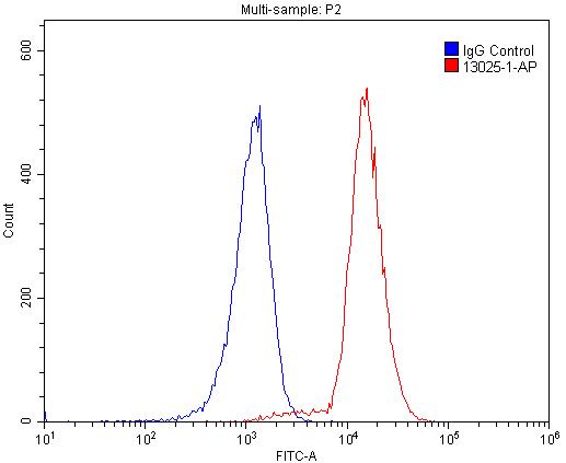 FC experiment of Raji using 13025-1-AP