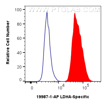 FC experiment of HepG2 using 19987-1-AP