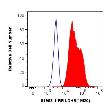 FC experiment of HeLa using 81963-1-RR (same clone as 81963-1-PBS)