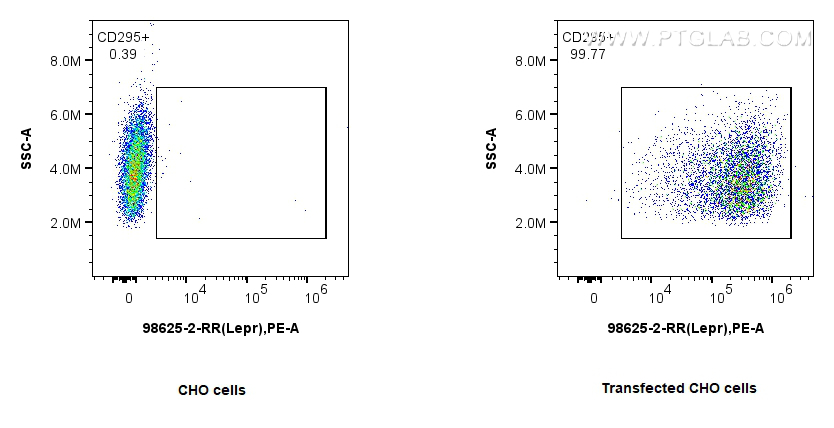 FC experiment of Transfected CHO cells using 98625-2-RR FC experiment of Transfected CHO cells using 98625-2-RR