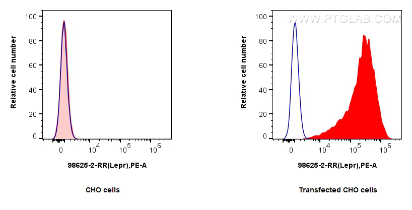 FC experiment of Transfected CHO cells using 98625-2-RR FC experiment of Transfected CHO cells using 98625-2-RR