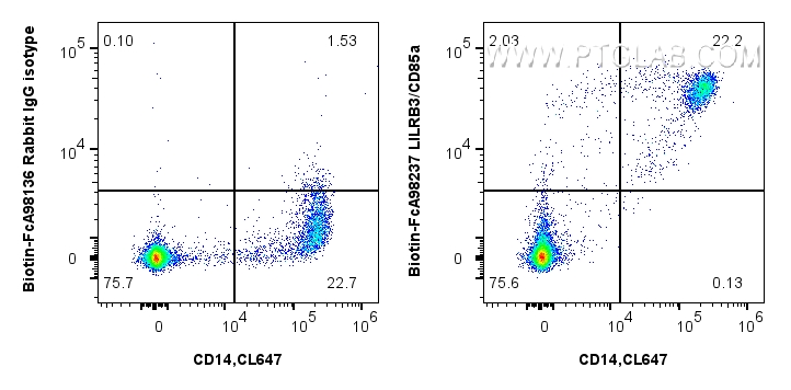 FC experiment of human PBMCs using Biotin-FcA98237 FC experiment of human PBMCs using Biotin-FcA98237