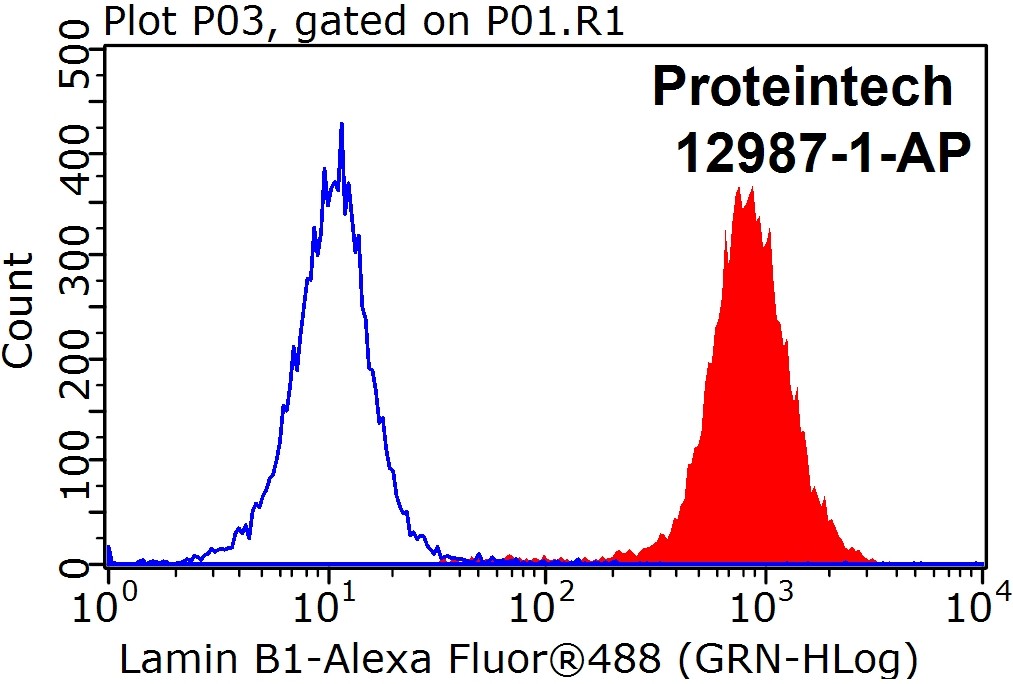 FC experiment of HEK-293 using 12987-1-AP