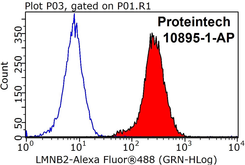 FC experiment of HEK-293T using 10895-1-AP