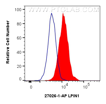 1x10^6 LNCaP cells were intracellularly stained with 0.13 ug LPIN1 Polyclonal antibody (27026-1-AP) and CoraLite®488-Conjugated Goat Anti-Rabbit IgG(H+L) (<a class='green' href='/productredirect?CatalogNo=SA00013-2' target='_blank'>SA00013-2</a>)(red), or 0.13 ug Isotype Control (blue). Cells were fixed and permeabilized with Intracellular Flow Cytometry Fixation & Permeabilization Buffer Kit (<a class='green' href='/productredirect?CatalogNo=PF00019' target='_blank'>PF00019</a>). FC experiment of LNCaP using 27026-1-AP