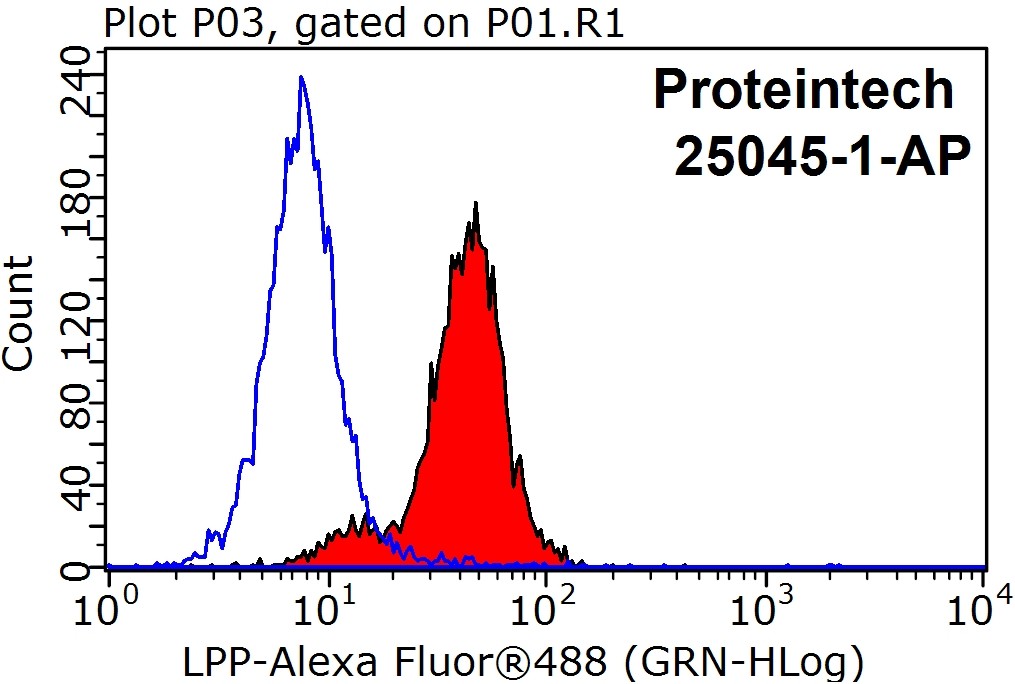 FC experiment of HeLa using 25045-1-AP