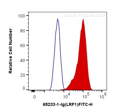 FC experiment of U-87 MG using 65233-1-Ig