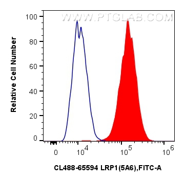 1x10^6 U-87 MG cells were surface stained with 5 ul CoraLite® Plus 488 Anti-Human LRP1 (5A6) Mouse IgG2a RecAb (CL488-65594, Clone: 5A6) (red) or CoraLite® Plus 488 Mouse IgG2a Isotype Control (C1.18.4) (<a class='green' href='/productredirect?CatalogNo=CL488-65208' target='_blank'>CL488-65208</a>, Clone: C1.18.4) (blue). Cells were not fixed. FC experiment of U-87 MG using CL488-65594