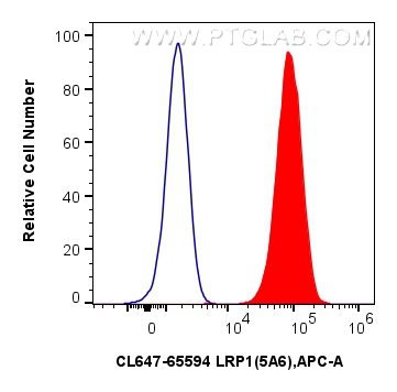 1x10^6 U-87 MG cells were surface stained with 5 ul CoraLite® Plus 647 Anti-Human LRP1 (5A6) Mouse IgG2a RecAb (CL647-65594, Clone: 5A6) (red) or CoraLite® Plus 647 Mouse IgG2a Isotype Control (C1.18.4) (<a class='green' href='/productredirect?CatalogNo=CL647-65208' target='_blank'>CL647-65208</a>, Clone: C1.18.4) (blue). Cells were not fixed. FC experiment of U-87 MG using CL647-65594