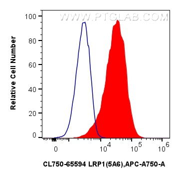 FC experiment of U-87 MG using CL750-65594