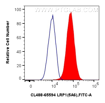 1x10^6 U-87 MG cells were surface stained with 5 ul FITC Plus Anti-Human LRP1 (5A6) Mouse IgG2a RecAb (FITC-65594, Clone: 5A6) (red) or 5 ul FITC Plus Mouse IgG2a Isotype Control (C1.18.4) (<a class='green' href='/productredirect?CatalogNo=FITC-65208' target='_blank'>FITC-65208</a>, Clone: C1.18.4) (blue). Cells were not fixed. FC experiment of U-87 MG using FITC-65594