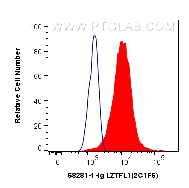 FC experiment of Jurkat using 68281-1-Ig