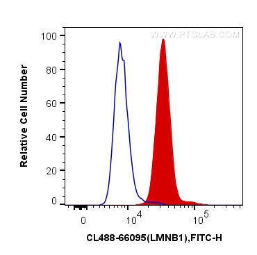 FC experiment of HeLa using CL488-66095
