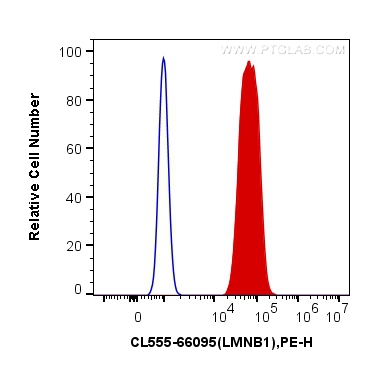 FC experiment of HeLa using CL555-66095