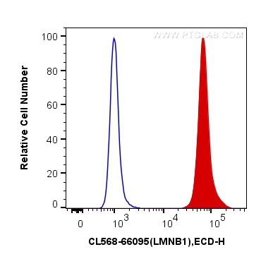 FC experiment of HeLa using CL568-66095