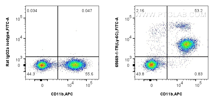 1x10^6 mouse bone marrow cells were surface stained with 0.5 ug Anti-Mouse Ly-6C (HK1.4) Rat IgG2a RecAb (<a class='green' href='/productredirect?CatalogNo=65669-1-TR' target='_blank'>65669-1-TR</a>, Clone: HK1.4) or 0.5 ug Rat IgG2a Isotype Control Recombinant Antibody (<a class='green' href='/productredirect?CatalogNo=98427-1-TR' target='_blank'>98427-1-TR</a>, Clone: 250862A1), and FITC anti-Rat IgG2a antibody. Cells were then stained with APC Anti-Mouse CD11b (M1/70) (<a class='green' href='/productredirect?CatalogNo=APC-65055' target='_blank'>APC-65055</a>, Clone: M1/70). Cells were not fixed. This data was developed using the same antibody clone with 65669-1-PBS in a different storage buffer formulation. FC experiment of mouse bone marrow cells using 65669-1-TR (same clone as 65669-1-PBS)