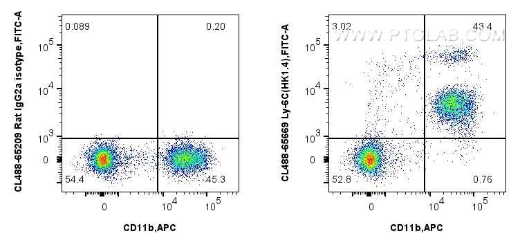 1x10^6 mouse bone marrow cells were surface stained with APC Anti-Mouse CD11b, and 0.25 ug CoraLite® Plus 488 Anti-Mouse Ly-6C (HK1.4) Rat IgG2a RecAb (CL488-65669, Clone: HK1.4) or CoraLite® Plus 488 Rat IgG2a Isotype Control (2A3) (<a class='green' href='/productredirect?CatalogNo=CL488-65209' target='_blank'>CL488-65209</a>, Clone: 2A3). Cells were not fixed. FC experiment of mouse bone marrow cells using CL488-65669