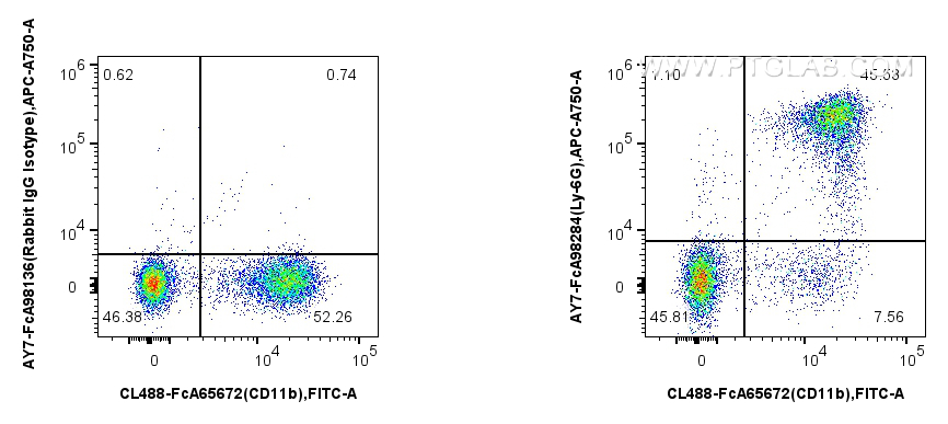 FC experiment of mouse bone marrow cells using AY7-FcA98284 FC experiment of mouse bone marrow cells using AY7-FcA98284