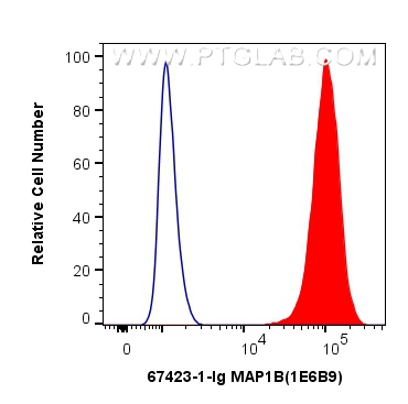 FC experiment of SH-SY5Y using 67423-1-Ig