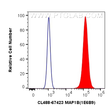 FC experiment of SH-SY5Y using CL488-67423