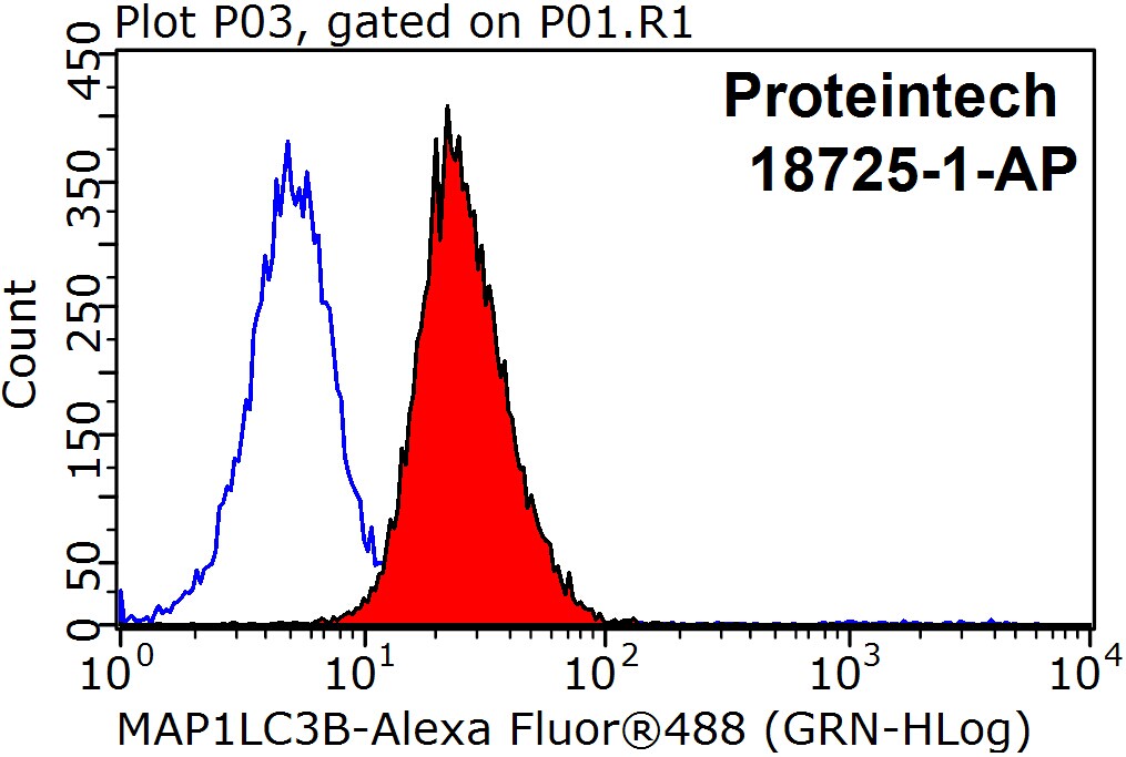 LC3B-Specific