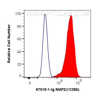 FC experiment of Neuro-2a using 67015-1-Ig (same clone as 67015-1-PBS)