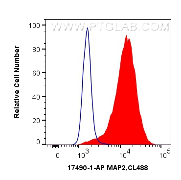 FC experiment of Neuro-2a using 17490-1-AP