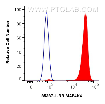 1x10^6 HepG2 cells were intracellularly stained with 0.25 ug MAP4K4 Recombinant monoclonal antibody (85387-1-RR, Clone:242721G1) and CoraLite®488-Conjugated Goat Anti-Rabbit IgG(H+L) (<a class='green' href='/productredirect?CatalogNo=SA00013-2' target='_blank'>SA00013-2</a>)(red), or 0.25 ug Rabbit IgG Isotype Control RecAb (<a class='green' href='/productredirect?CatalogNo=98136-1-RR' target='_blank'>98136-1-RR</a>, Clone: 240953C9) (blue). Cells were fixed and permeabilized with Intracellular Flow Cytometry Fixation & Permeabilization Buffer Kit (<a class='green' href='/productredirect?CatalogNo=PF00019' target='_blank'>PF00019</a>). FC experiment of HepG2 using 85387-1-RR