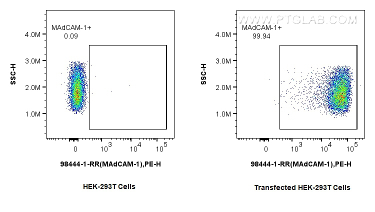 FC experiment of Transfected HEK-293T using 98444-1-RR (same clone as 98444-1-PBS)