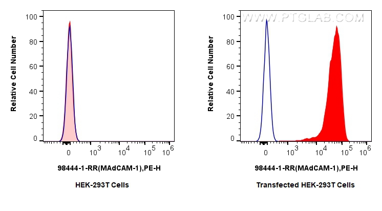 FC experiment of Transfected HEK-293T using 98444-1-RR (same clone as 98444-1-PBS)