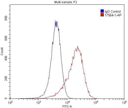 FC experiment of HUVEC using 17564-1-AP