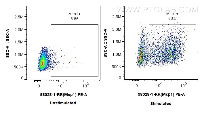 MCP-1/CCL2