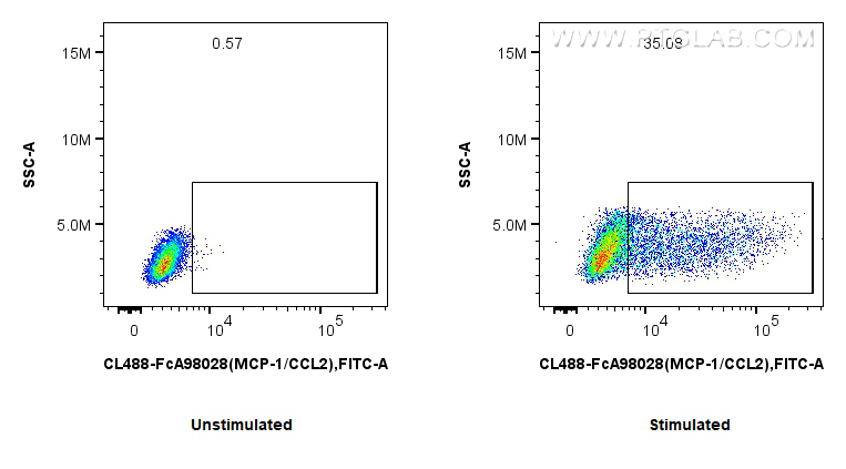 FC experiment of RAW 264.7 using CL488-FcA98028 FC experiment of RAW 264.7 using CL488-FcA98028