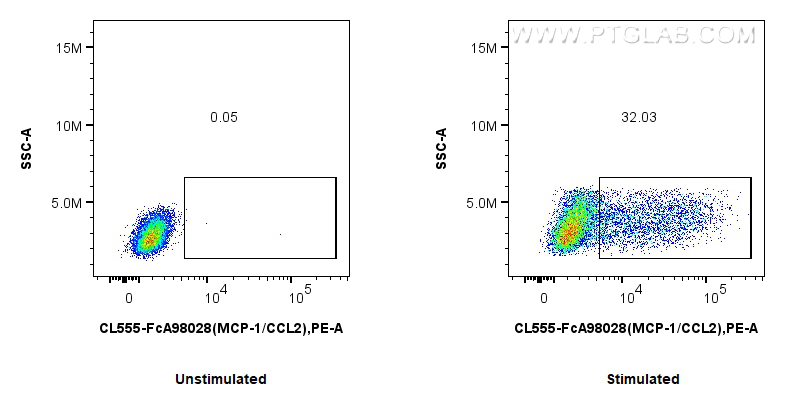 FC experiment of RAW 264.7 using CL555-FcA98028 FC experiment of RAW 264.7 using CL555-FcA98028