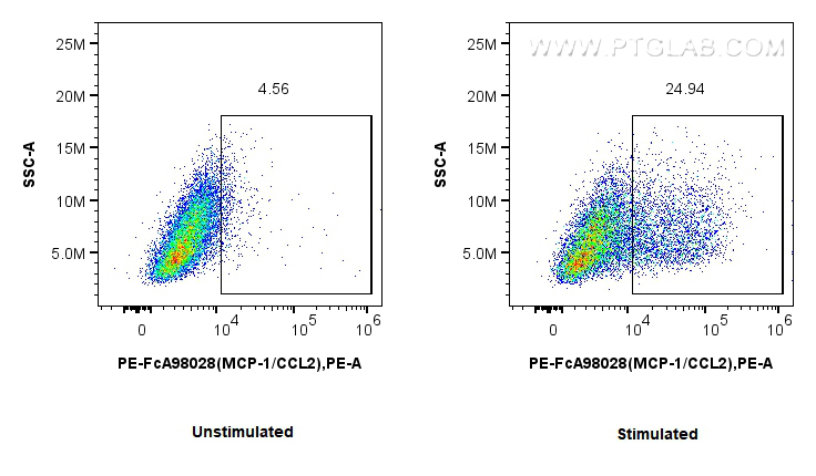 FC experiment of RAW 264.7 using PE-FcA98028
