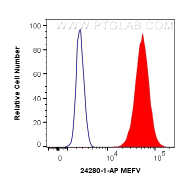 FC experiment of A431 using 24280-1-AP