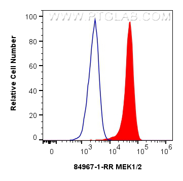 FC experiment of Jurkat using 84967-1-RR