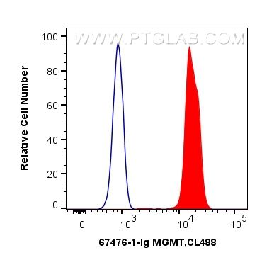 FC experiment of Jurkat using 67476-1-Ig