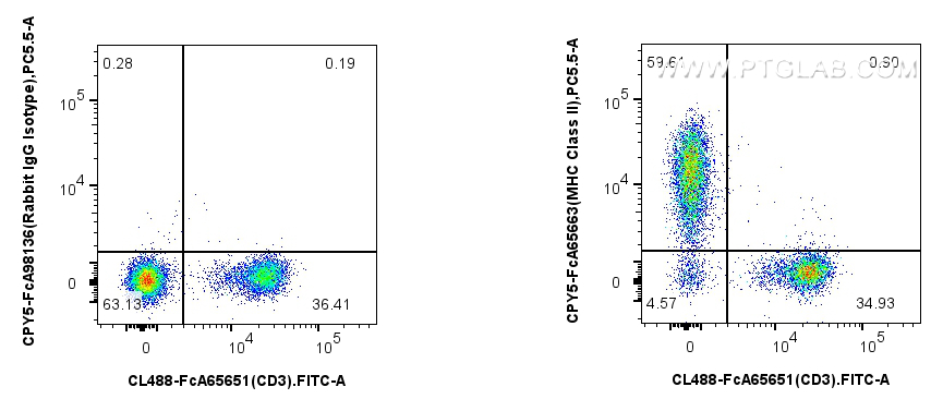 FC experiment of mouse splenocytes using CPY5-FcA65663