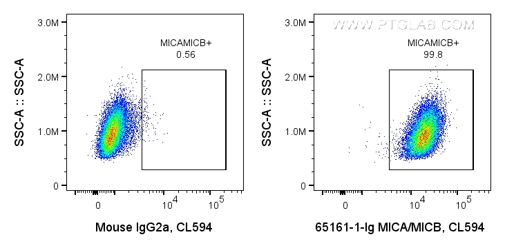 FC experiment of HeLa using 65161-1-Ig