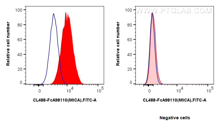 FC experiment of HeLa using CL488-FcA98110