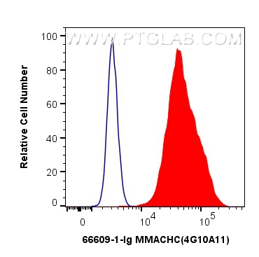 FC experiment of HeLa using 66609-1-Ig (same clone as 66609-1-PBS)