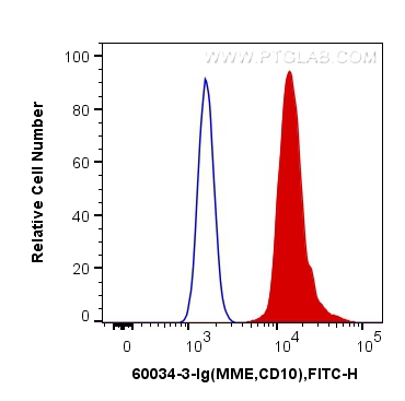 FC experiment of Ramos using 60034-3-Ig (same clone as 60034-3-PBS)