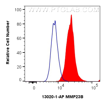 FC experiment of HepG2 using 13020-1-AP